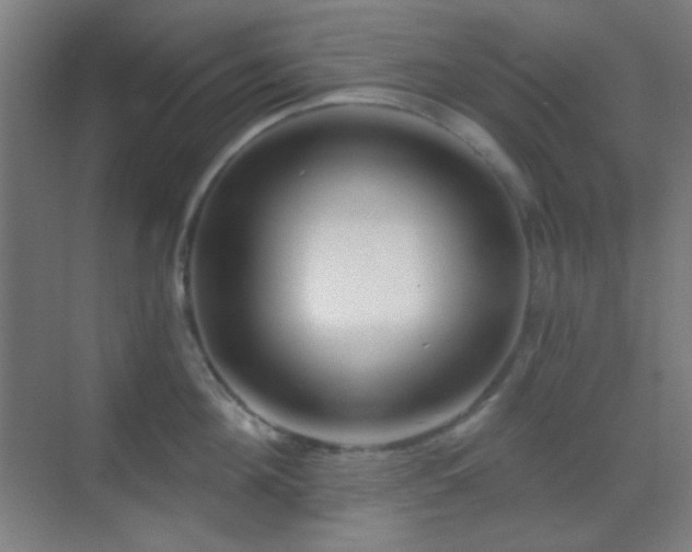 X0000070200908200605261223