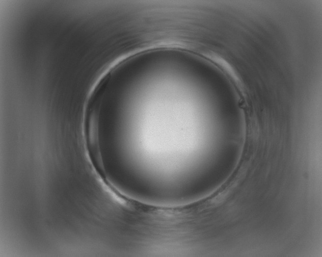 X0000070200910200605261223