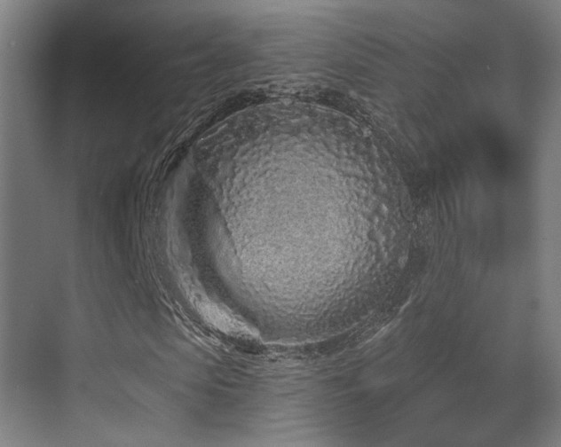 X0000070200913200605261222
