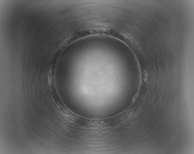 X0000070200915200605261222