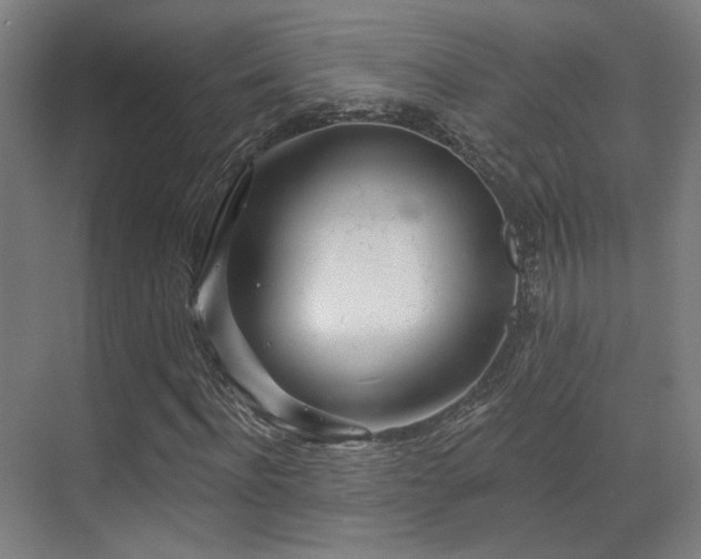 X0000070200916200605261222