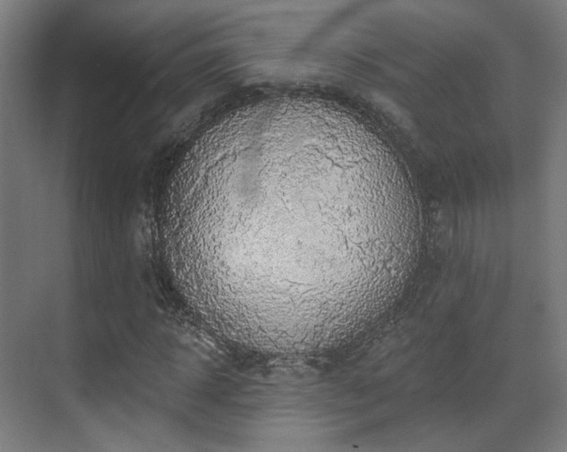 X0000070200918200605261222