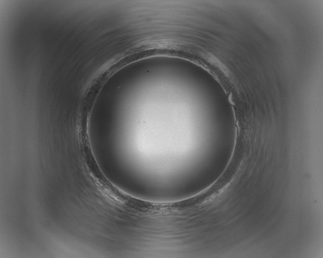 X0000070200922200605261222