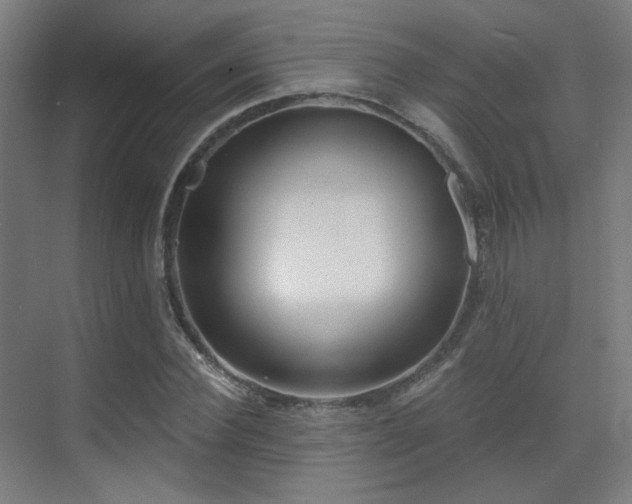 X0000070200924200605261222