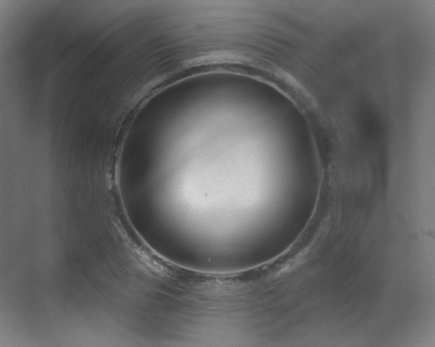 X0000070200929200605261222