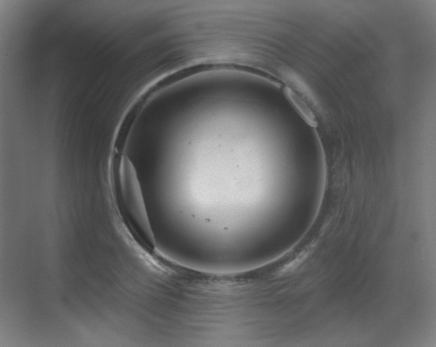 X0000070200932200605261222