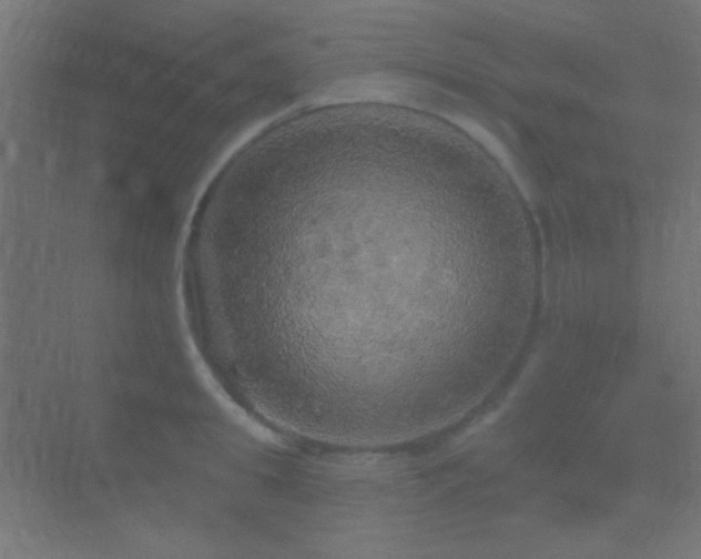 X0000070200949200605261222
