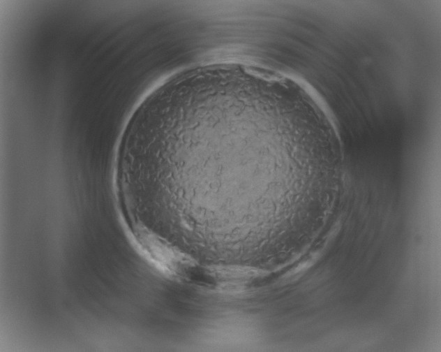 X0000070200957200605261223