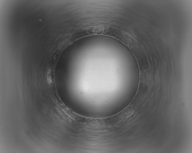 X0000070200962200605261222