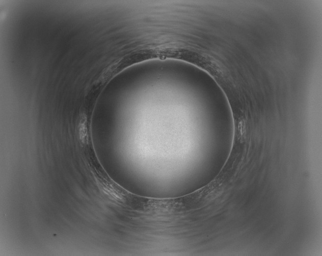 X0000070200963200605261222