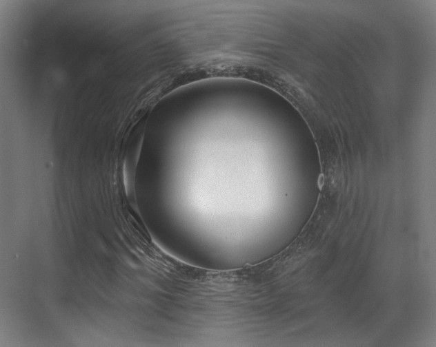 X0000070200964200605261222