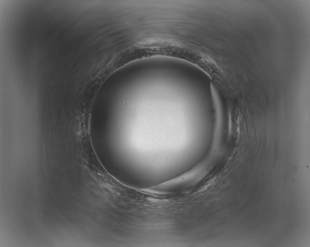 X0000070200965200605261222