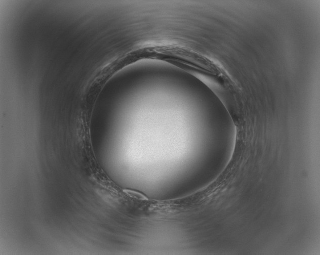 X0000070200967200605261222