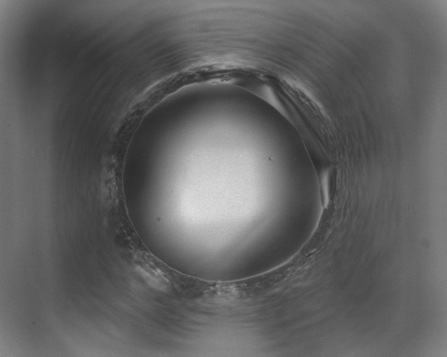 X0000070200968200605261222