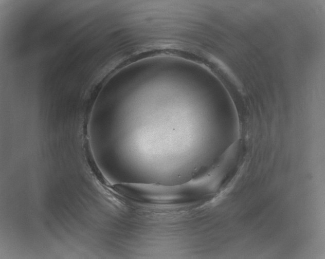 X0000070200977200605261221