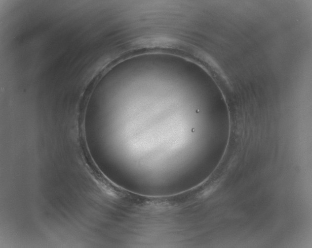 X0000070200978200605261221