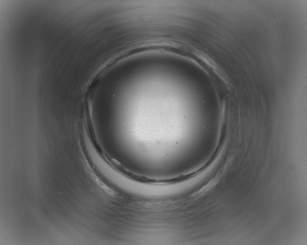 X0000070200985200605261221
