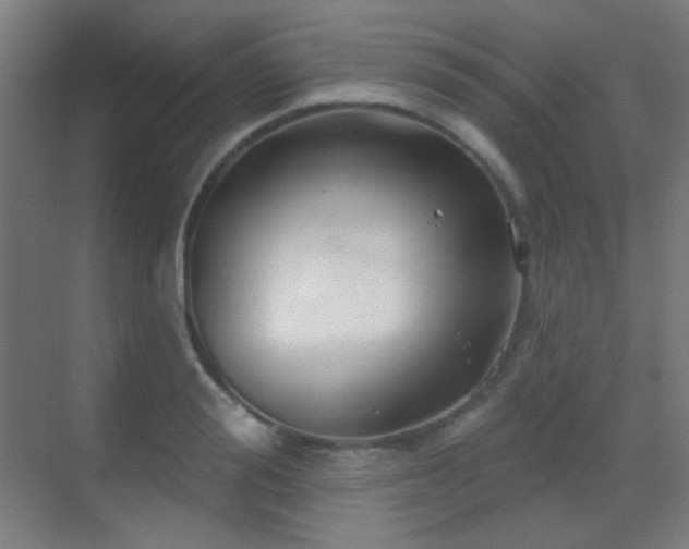 X0000070200988200605261221