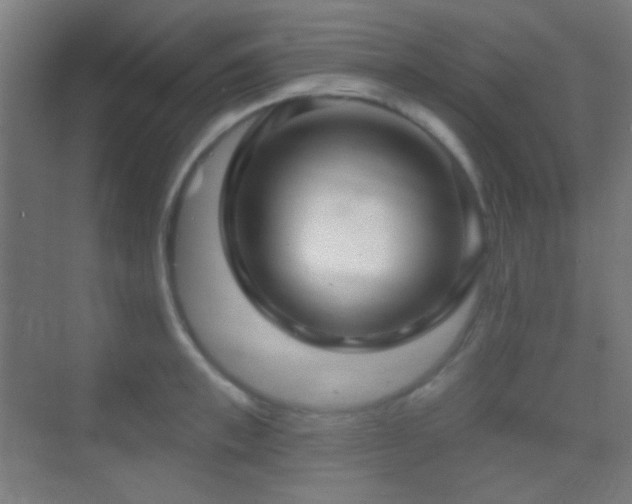 X0000070200997200605261221