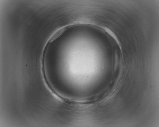 X0000070201005200605261221