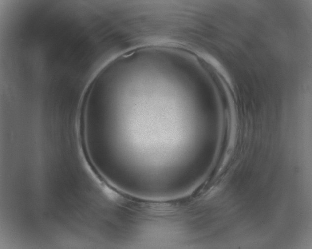 X0000070201007200605261221