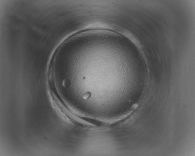 X0000070201008200605261221