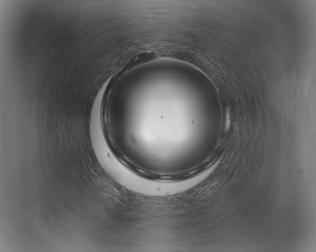 X0000070201010200605261220