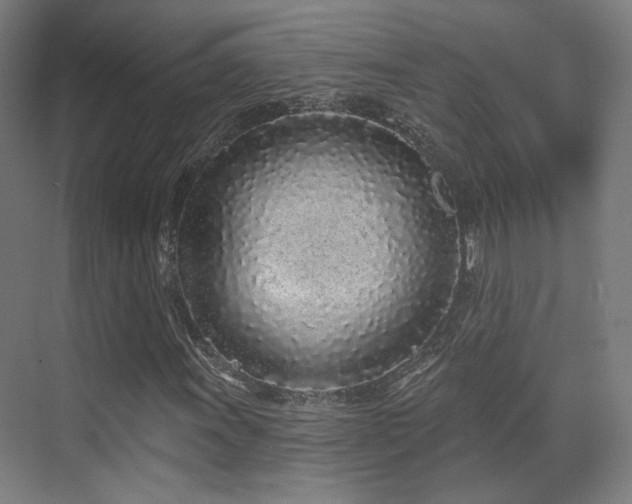 X0000070201011200605261220