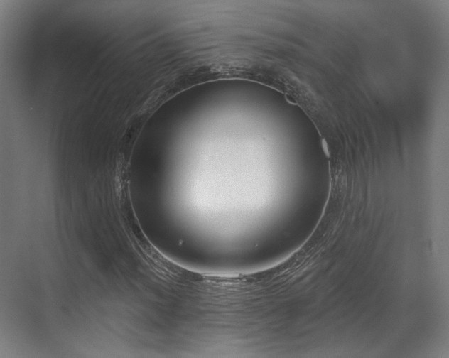 X0000070201012200605261220