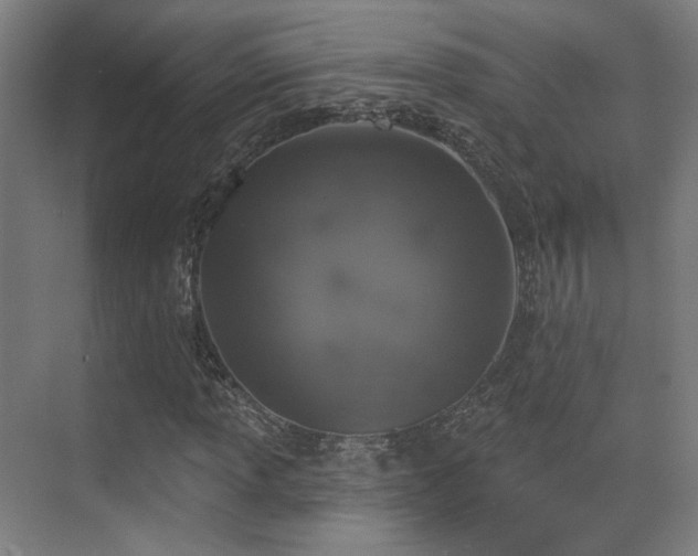 X0000070201013200605261220