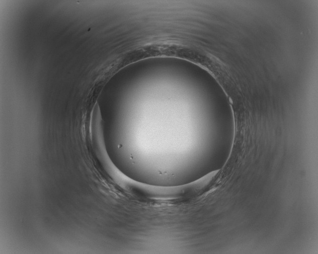X0000070201014200605261220