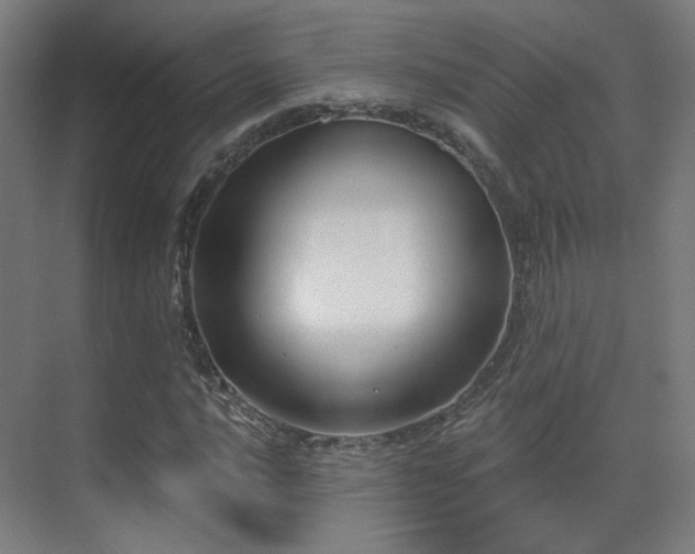X0000070201016200605261220