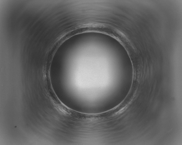 X0000070201017200605261220