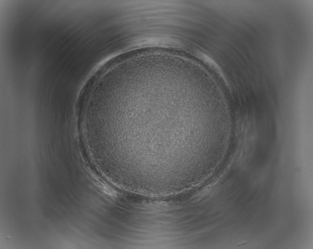 X0000070201019200605261220