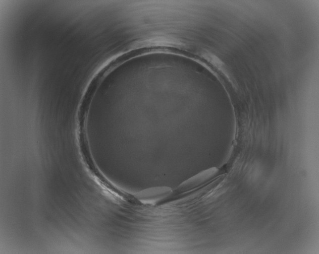 X0000070201024200605261220