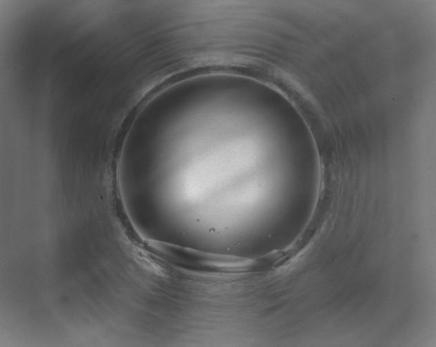 X0000070201025200605261220