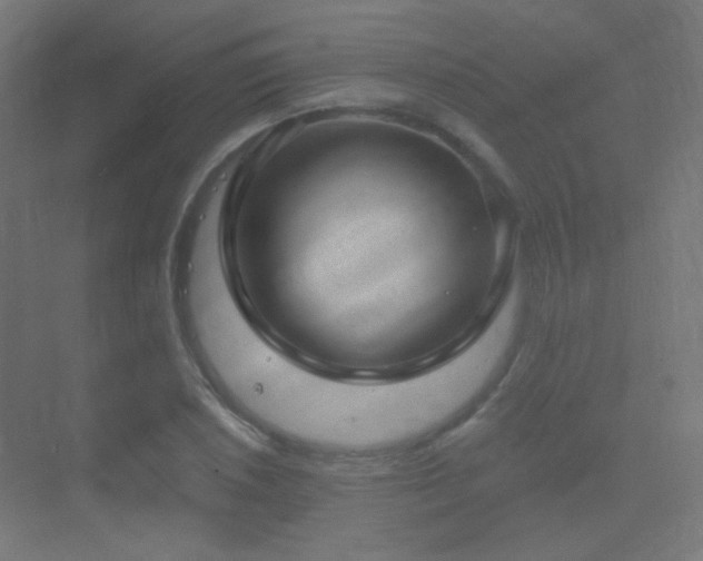 X0000070201026200605261220