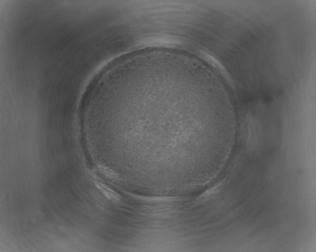 X0000070201027200605261220