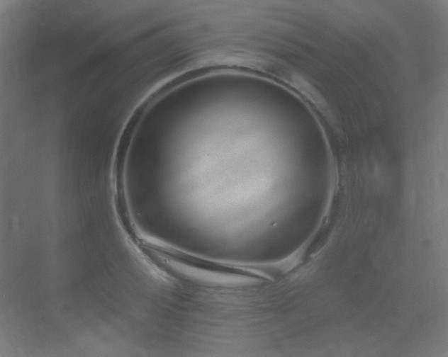 X0000070201028200605261220