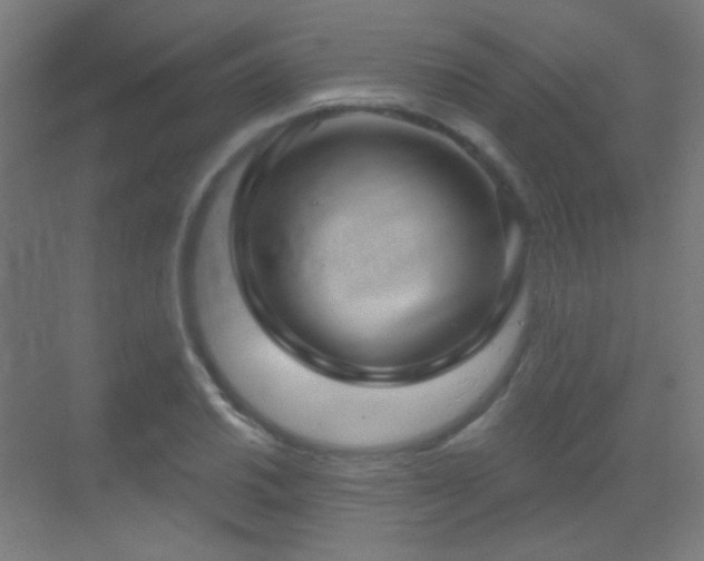 X0000070201030200605261220