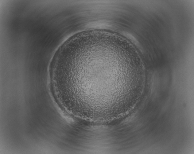 X0000070201031200605261221