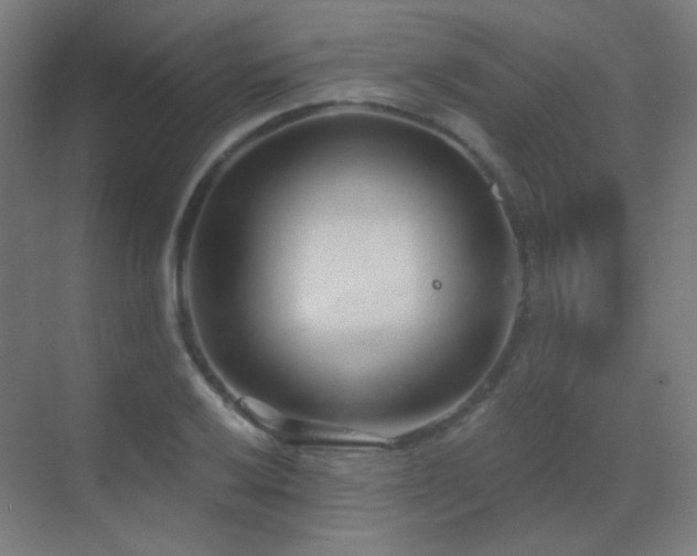 X0000070201032200605261221