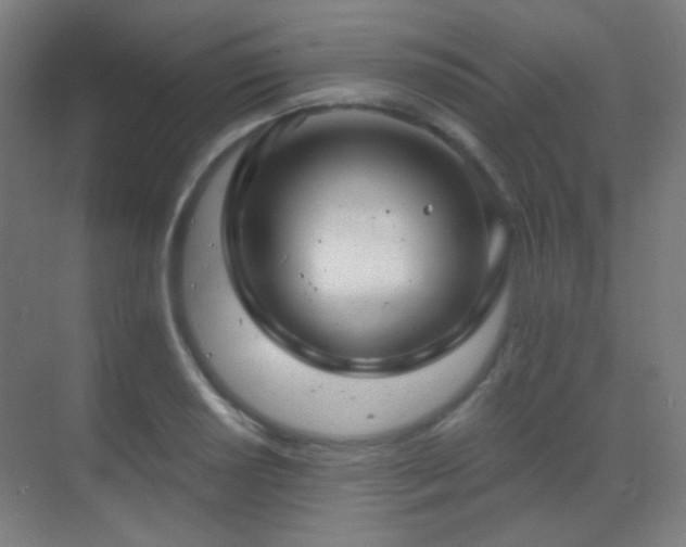 X0000070201034200605261221