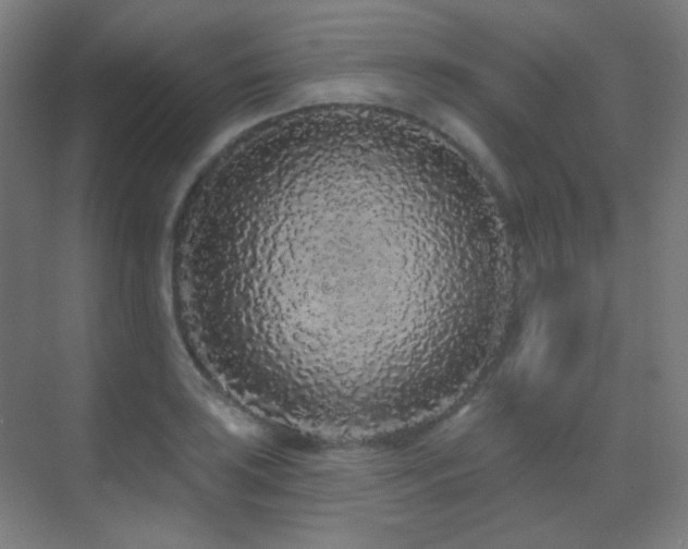 X0000070201035200605261221