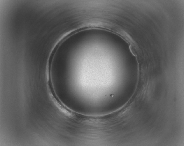 X0000070201036200605261221