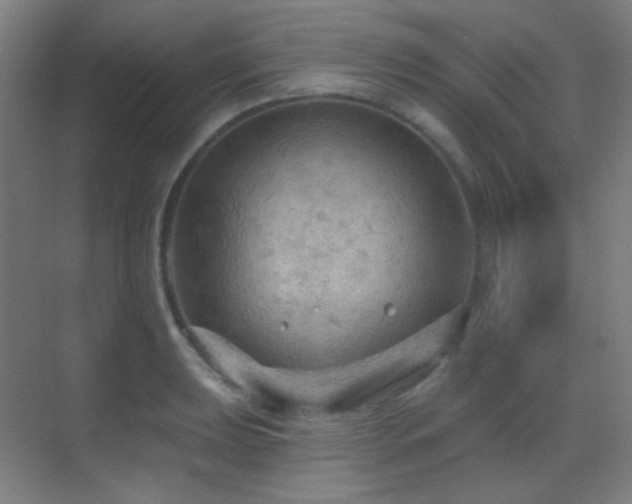 X0000070201039200605261221