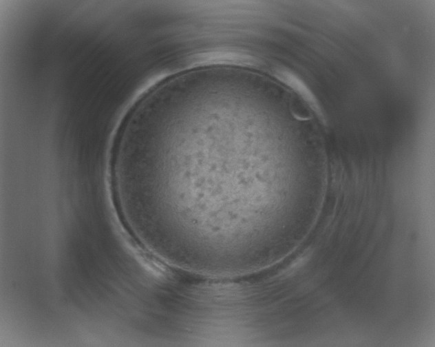 X0000070201043200605261221