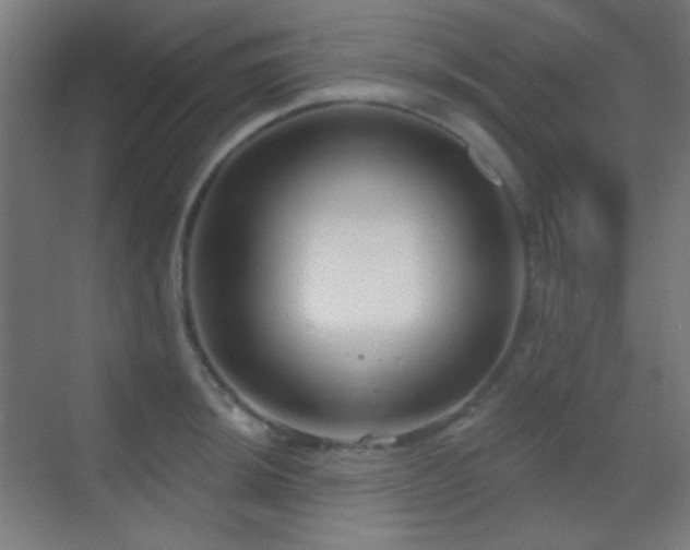 X0000070201044200605261221
