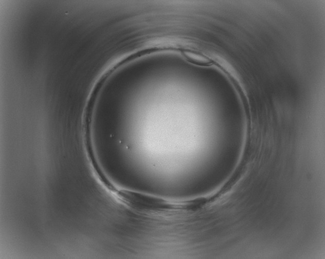 X0000070201045200605261221