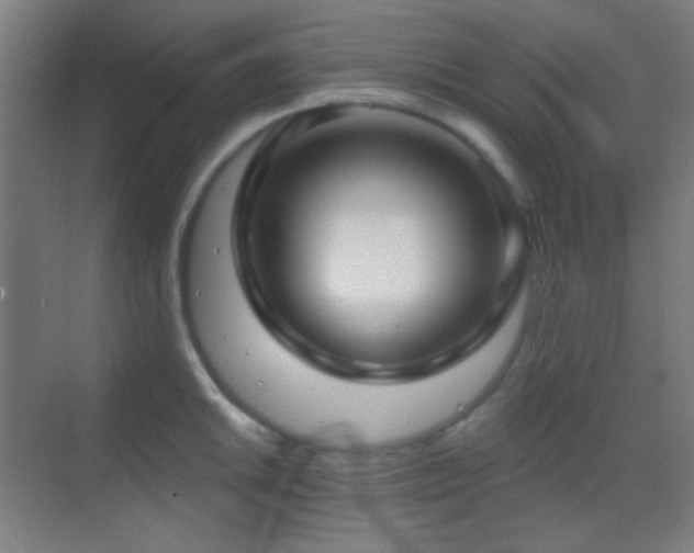 X0000070201046200605261221